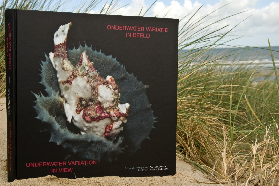 Boek onderwatervariatie in beeld